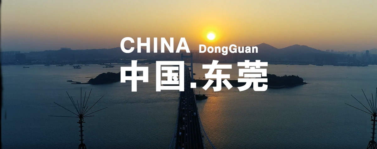 德安会视频