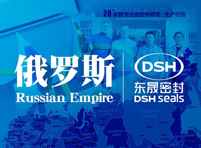 俄罗斯液压机器制造行业的国外客户来访德安会密封公司参观及工作洽谈！