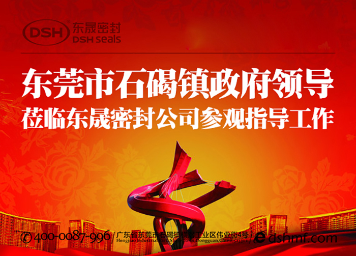 东莞市石碣镇政府领导一行莅临德安会密封公司总部参观指导工作